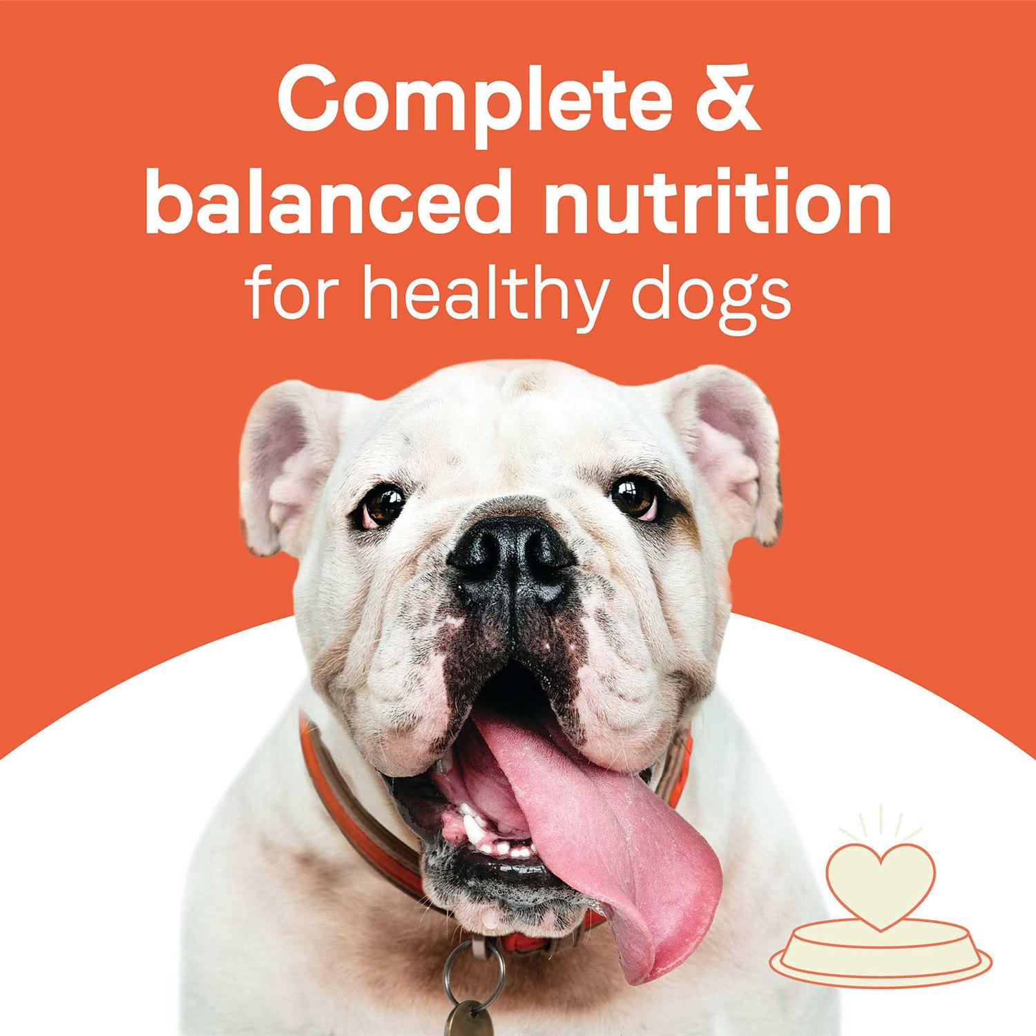 Adult Dry Dog Food Beef and Oatmeal H72044
