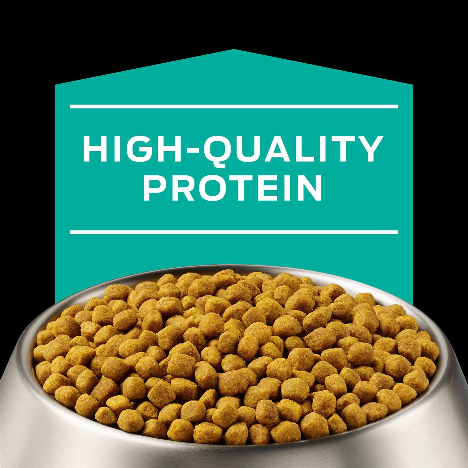 Gastroenteric Formula Dry Dog Food Q459