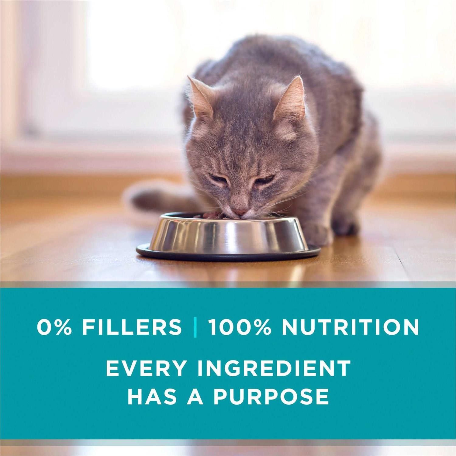 Cat Food C6459
