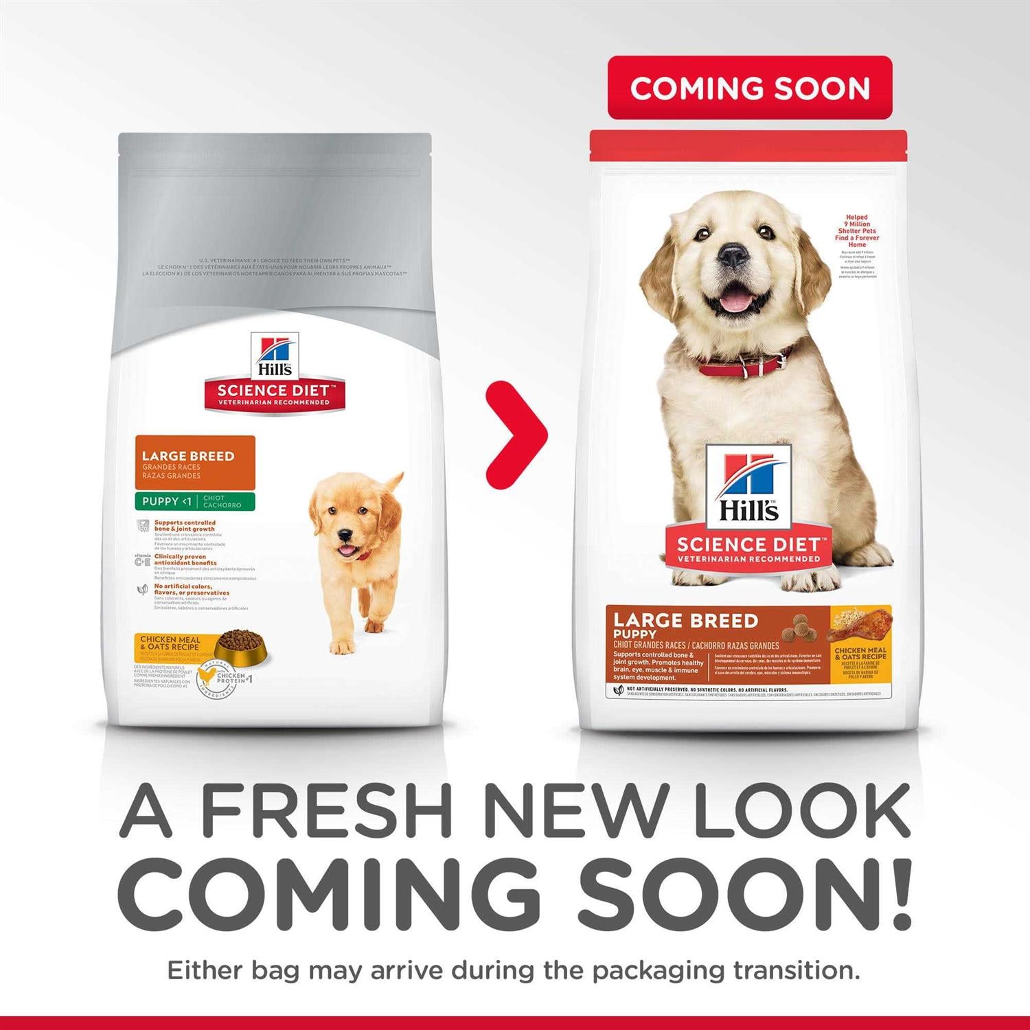 Large Breed Puppy Dry Dog Food Chicken Recipe C782201