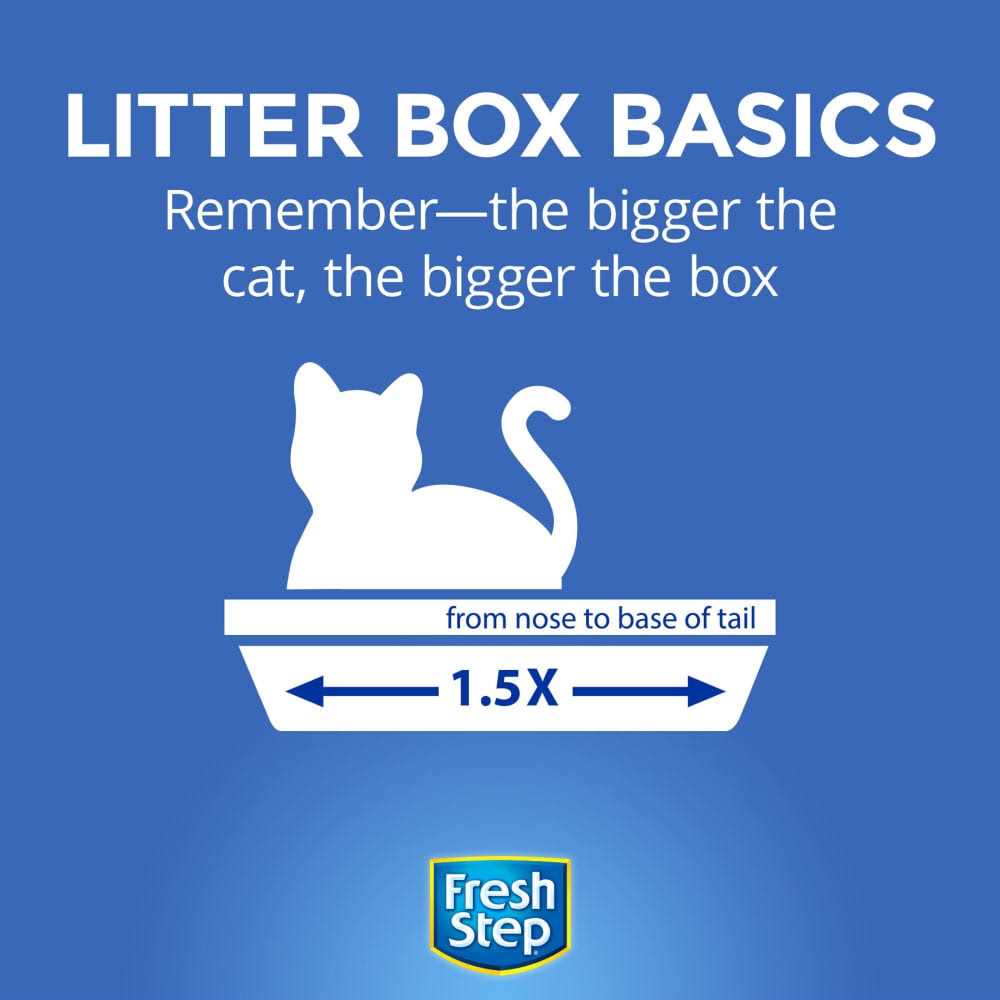 Clumping Cat Litter with Odor Control P53971