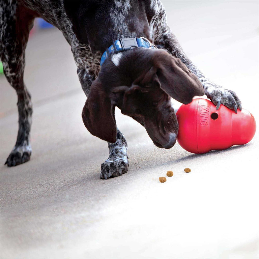 Wobbler Dog Toy I194176