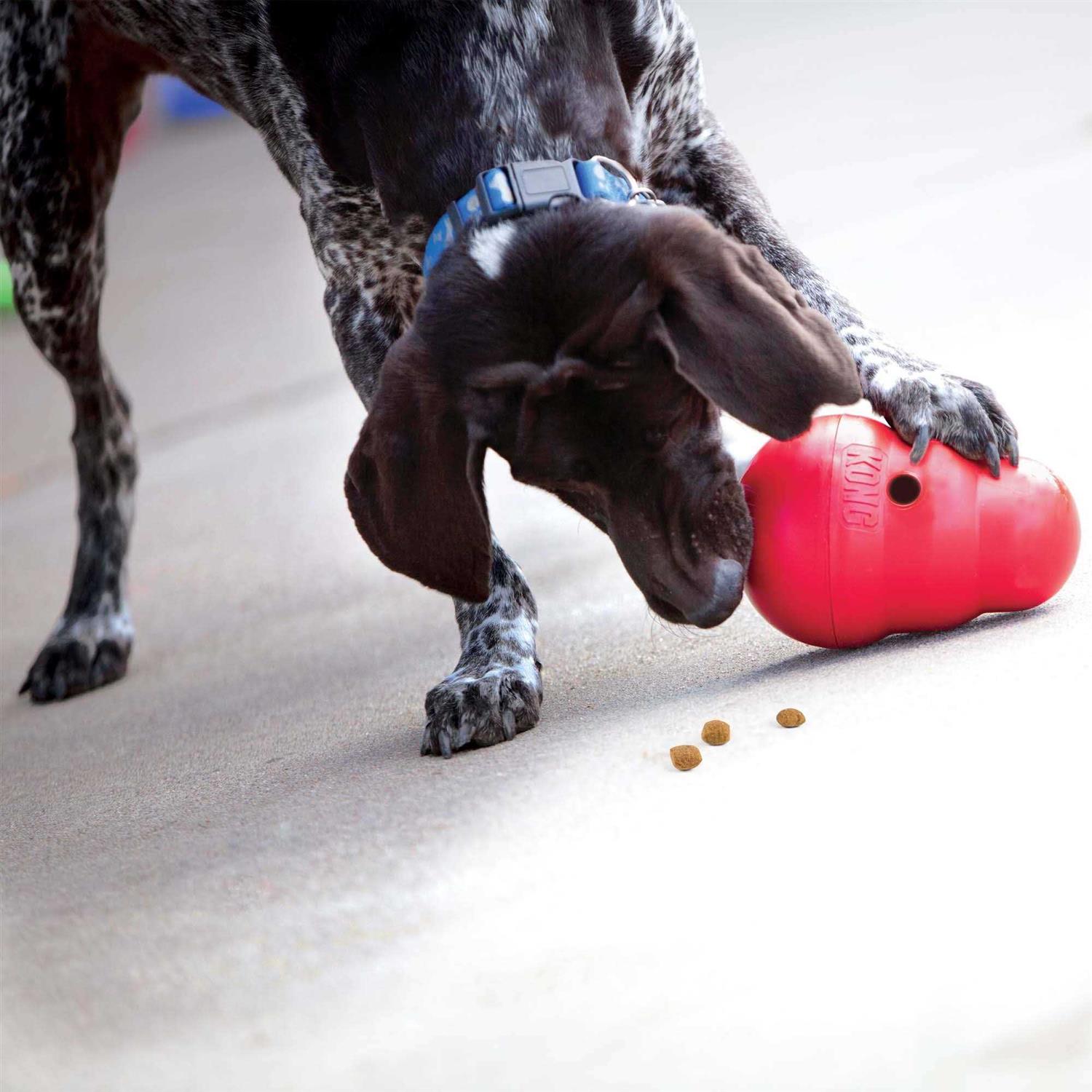 Wobbler Dog Toy I194176