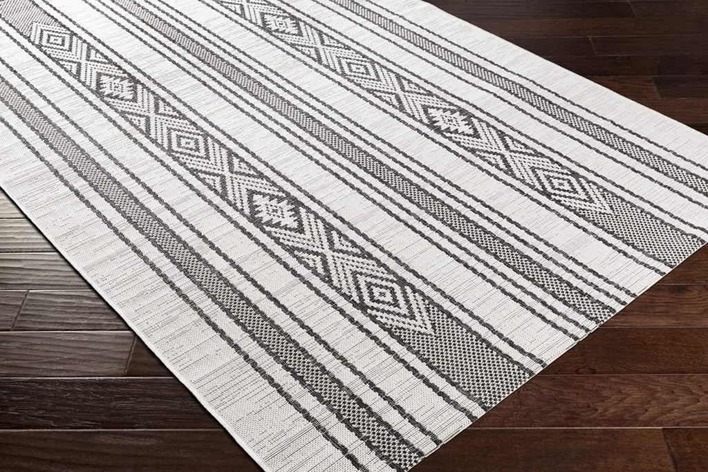 Outdoor Area Rug 5x7 Non Shedding Indoor/Outdoor Carpet for Patio, Porch, Deck, Bedroom, Living Room or Kitchen Y63594