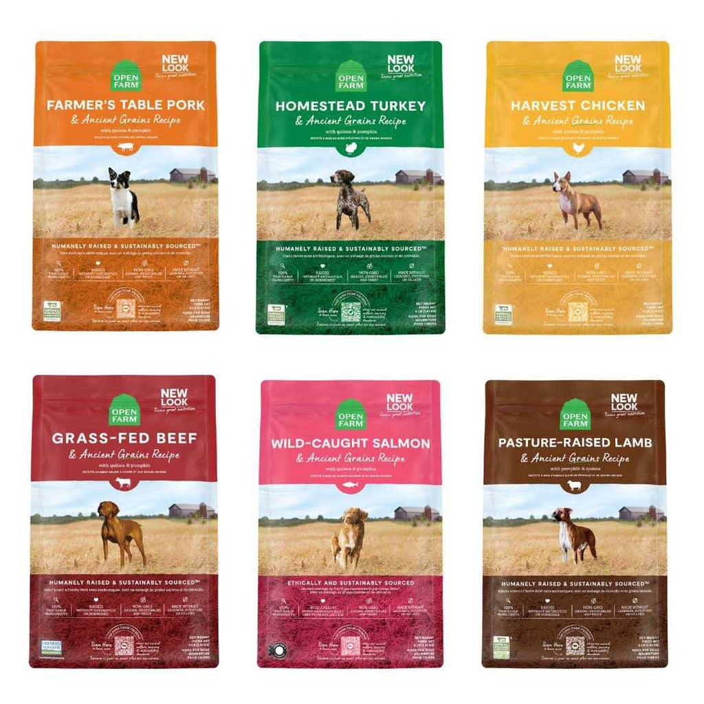 Ancient Grains Dry Dog Food E890740