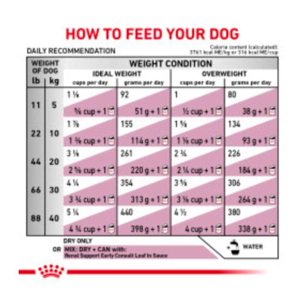 Veterinary Diet Canine Renal Support Dry Dog Food S479681