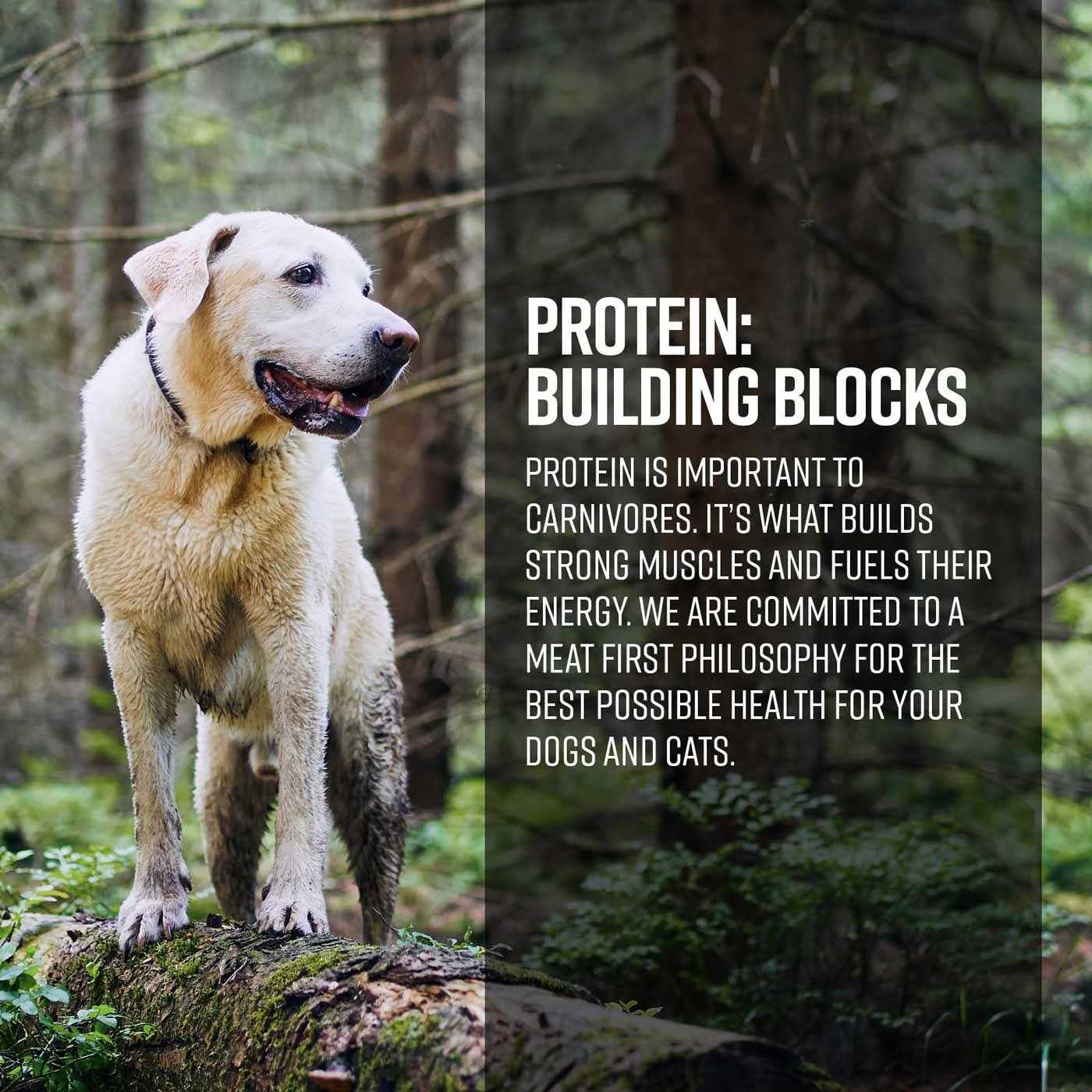 Gamefowl Dog Dry Food P38411