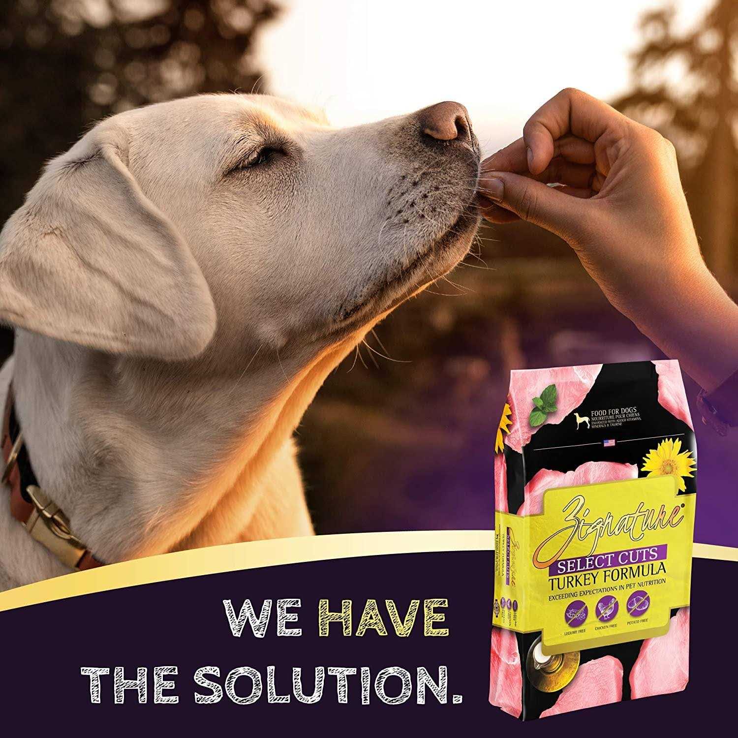 Turkey Formula Dry Dog Food D81724