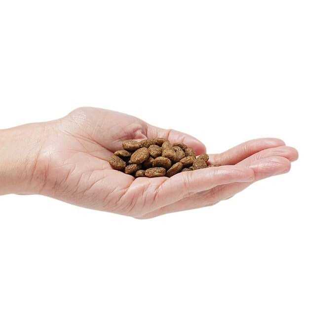 Grain-Free Dog Food H83558