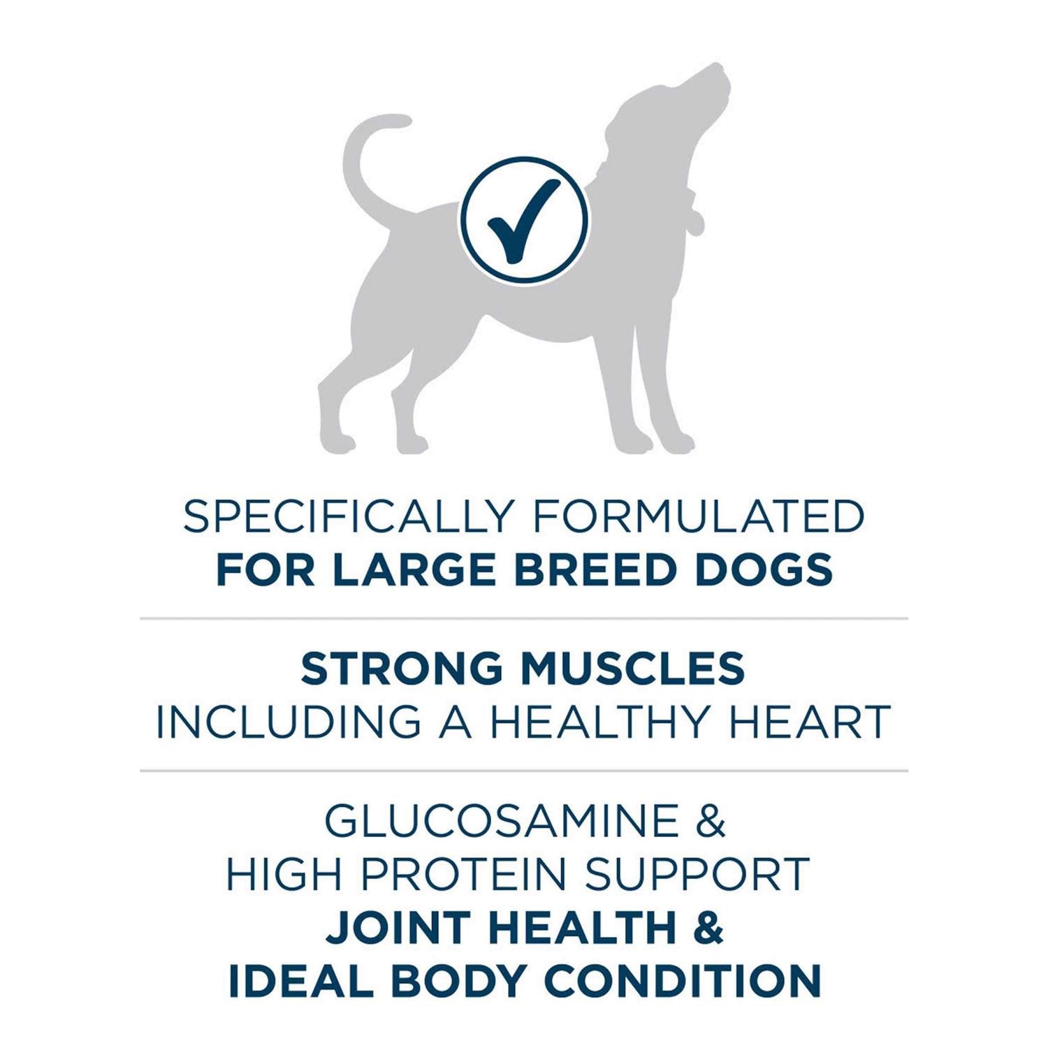 Large Breed Adult Dry Dog Food J265798