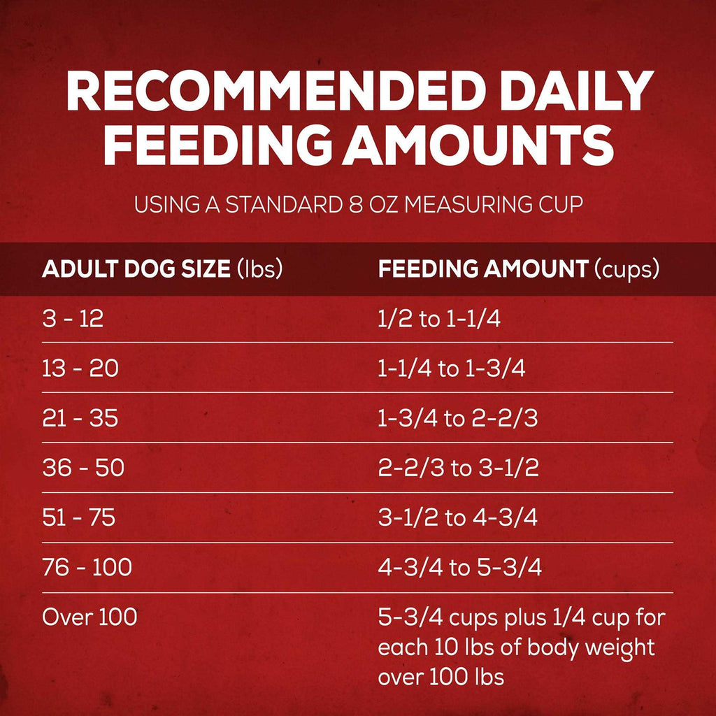 Savory Beef Dry Dog Food N640