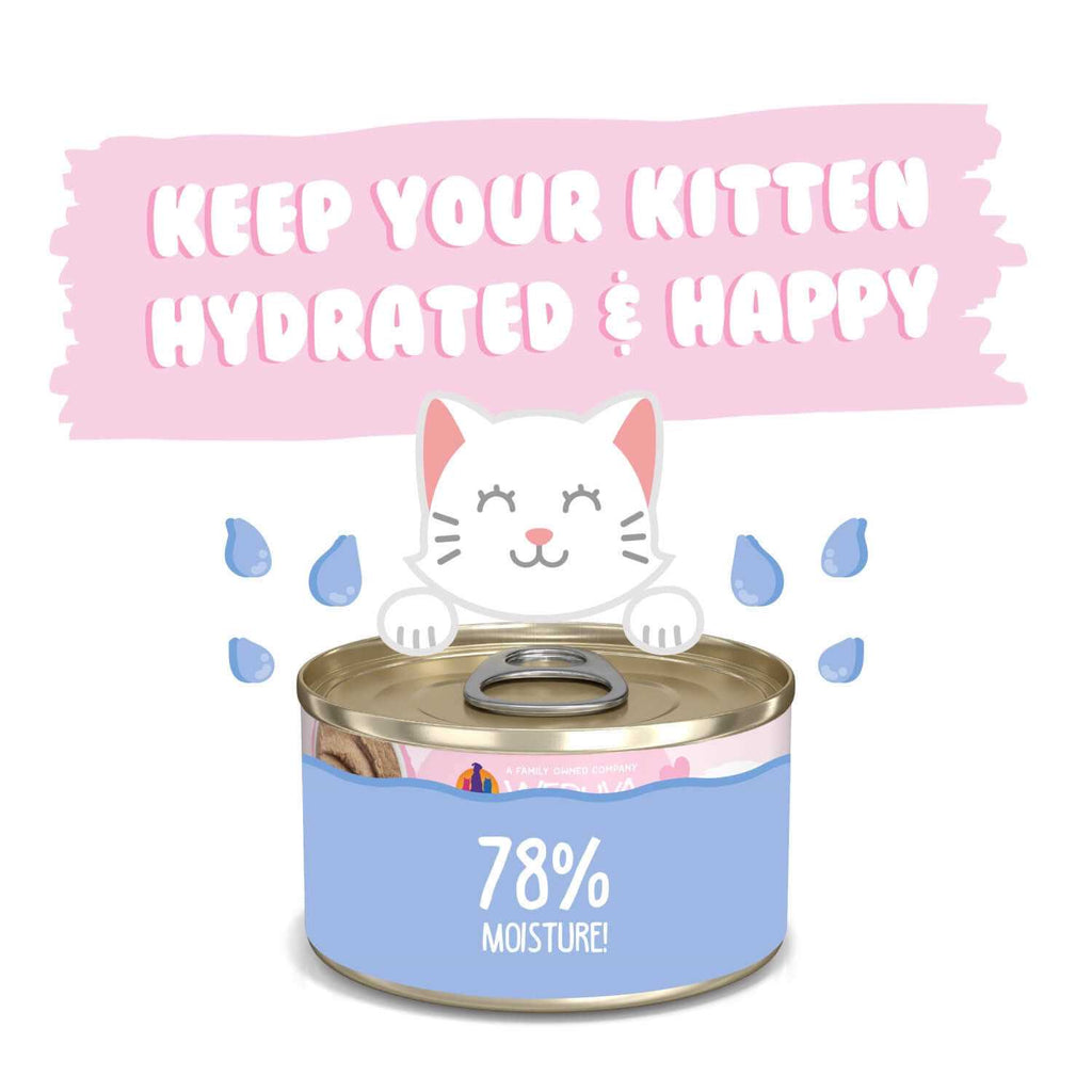 Chicken Breast in Puree Wet Cat Food Y393330