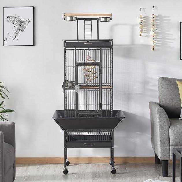 Rolling Parrot Cage with Playtop B539632