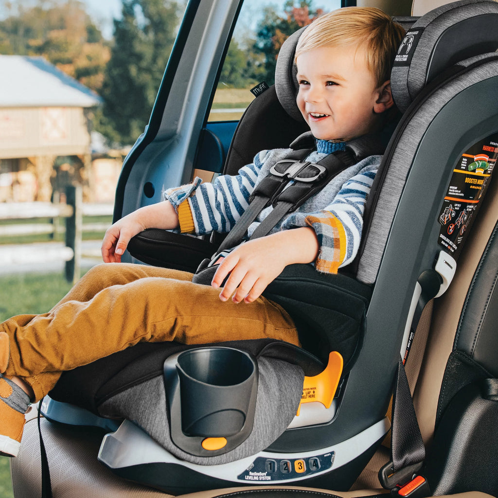 Harness + Booster Car Seat - Shadow (Black) O257853