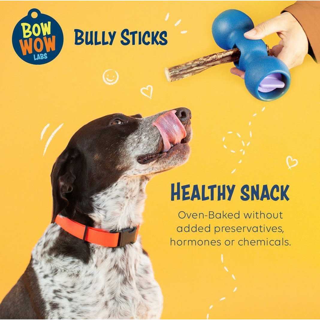 Safe Fit Bully Sticks for Dogs M61419