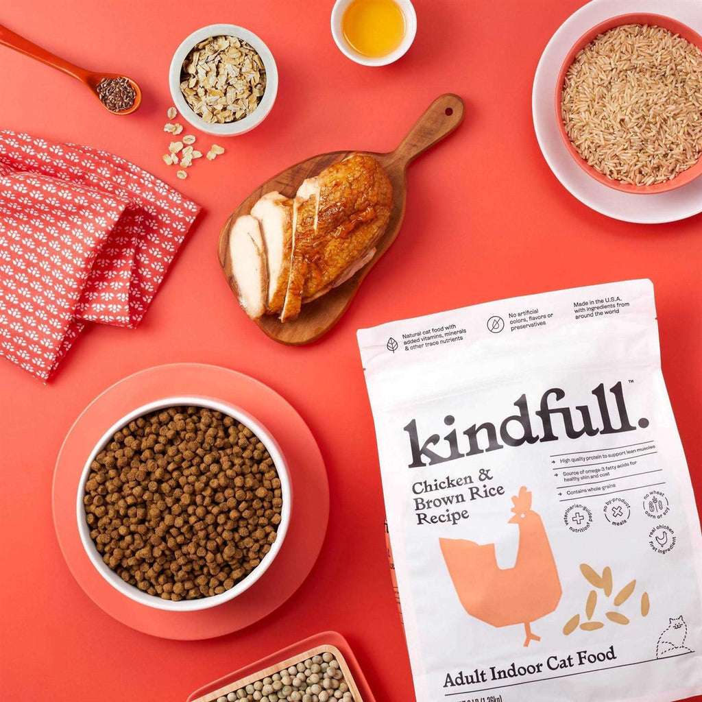 Chicken and Brown Rice Dry Cat Food A590223