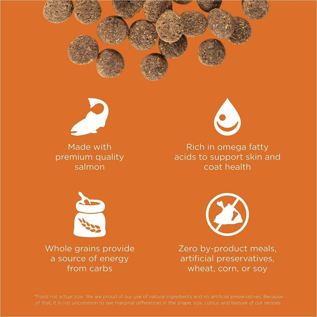 Salmon Recipe Dry Dog Food F226