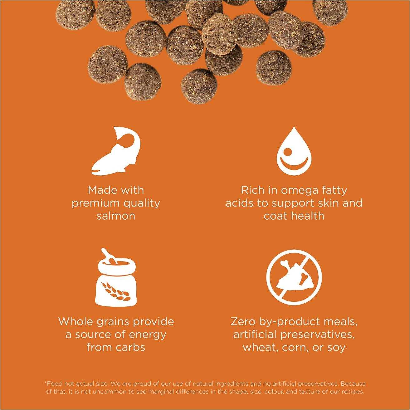 Salmon Recipe Dry Dog Food F226