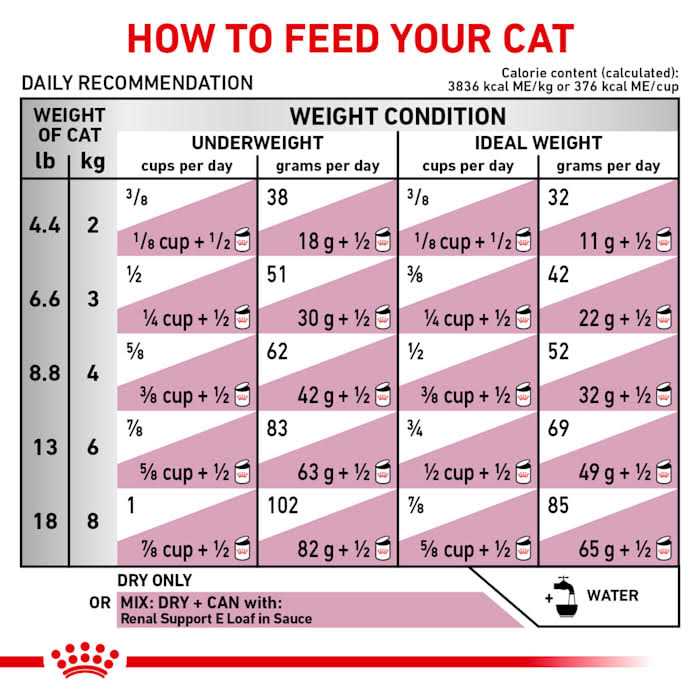 Feline Renal Support Dry Food F713024