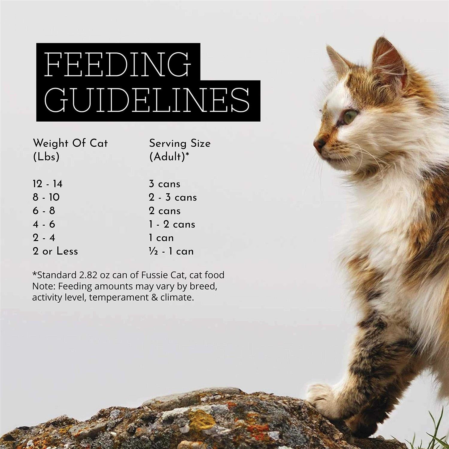 Chicken Gravy Cat Food C29867