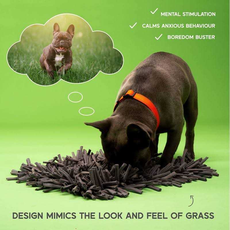Snuffle Mat for Dogs Feeding Mat M992631