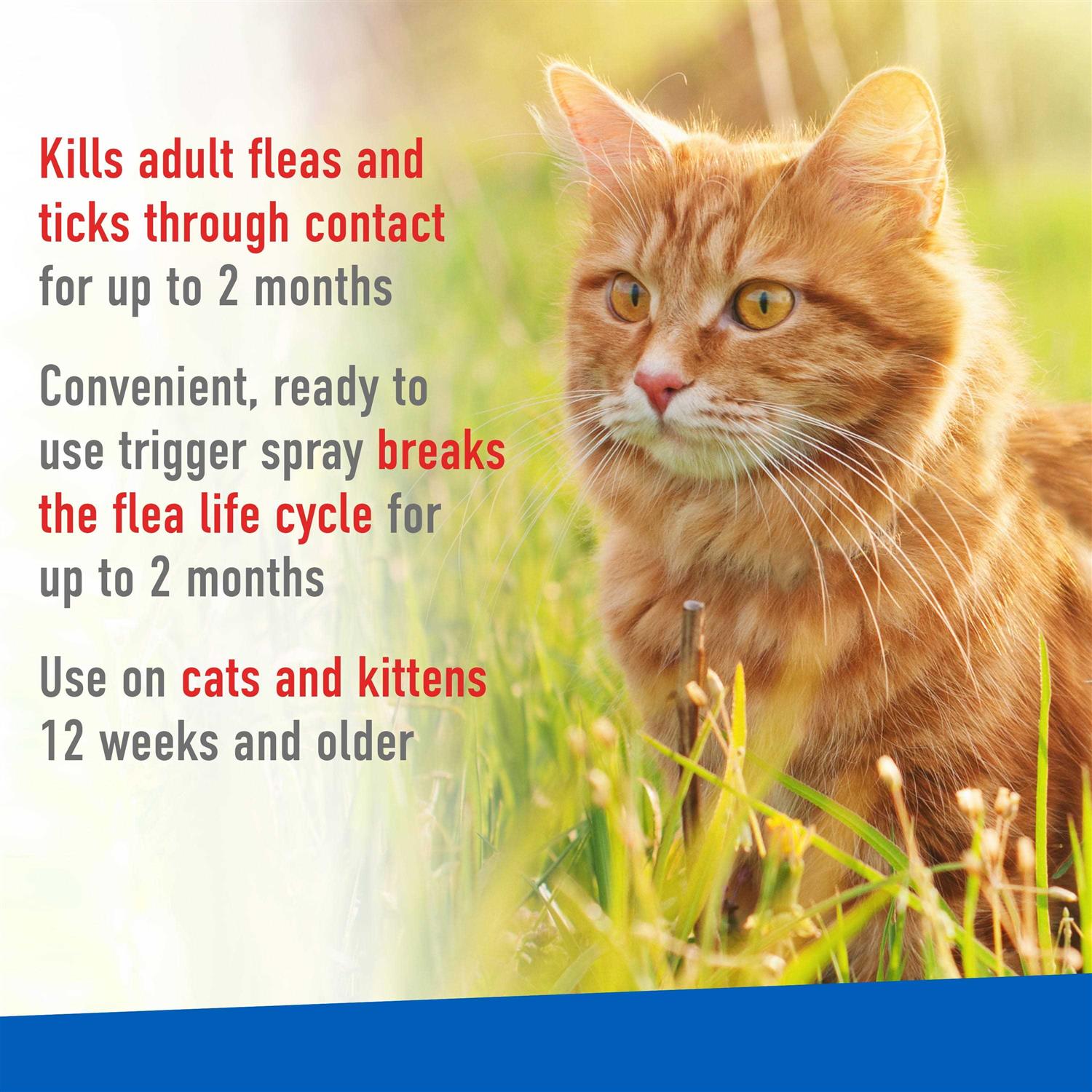 Flea and Tick Spray for Cats W922527
