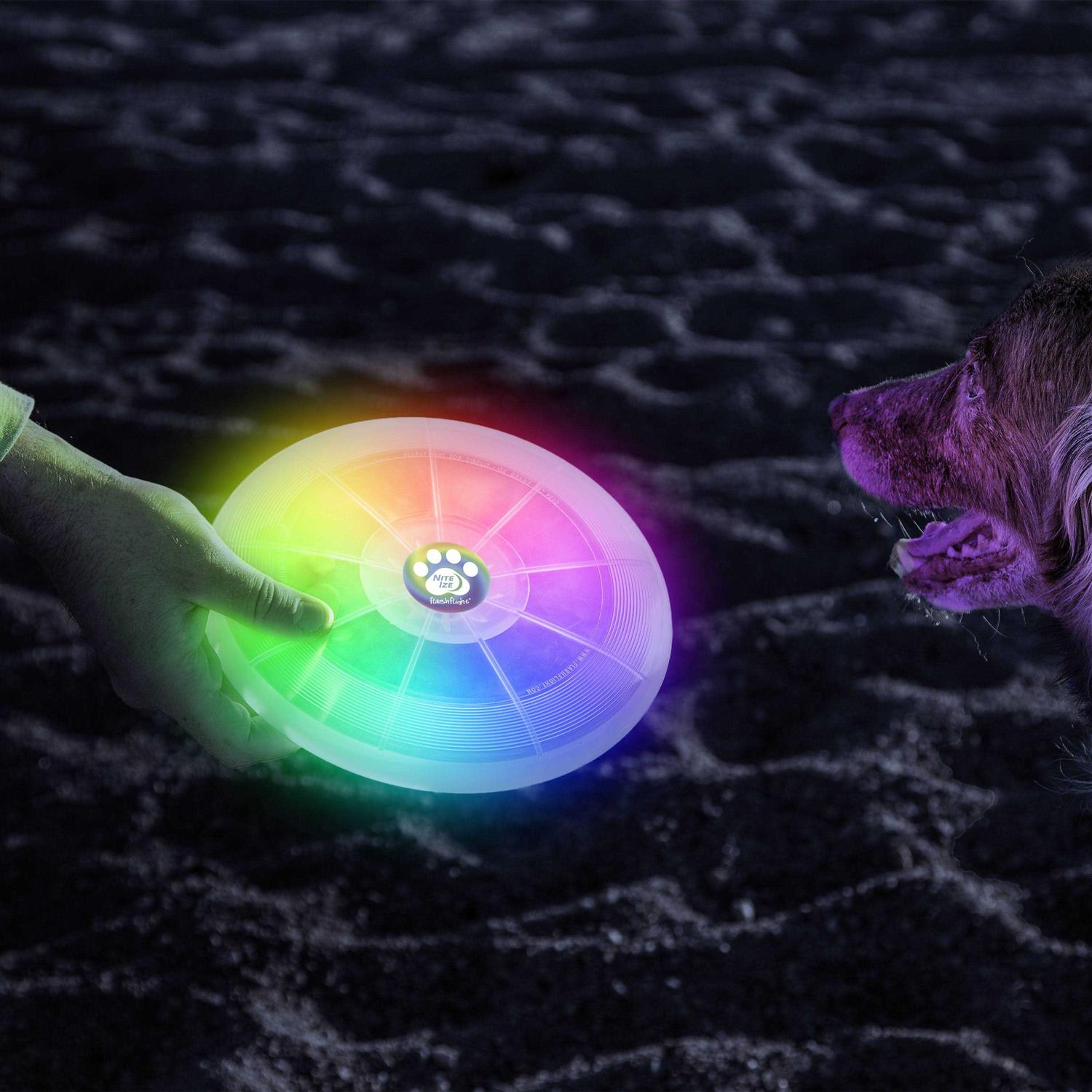 LED Flying Disc for Dogs E753