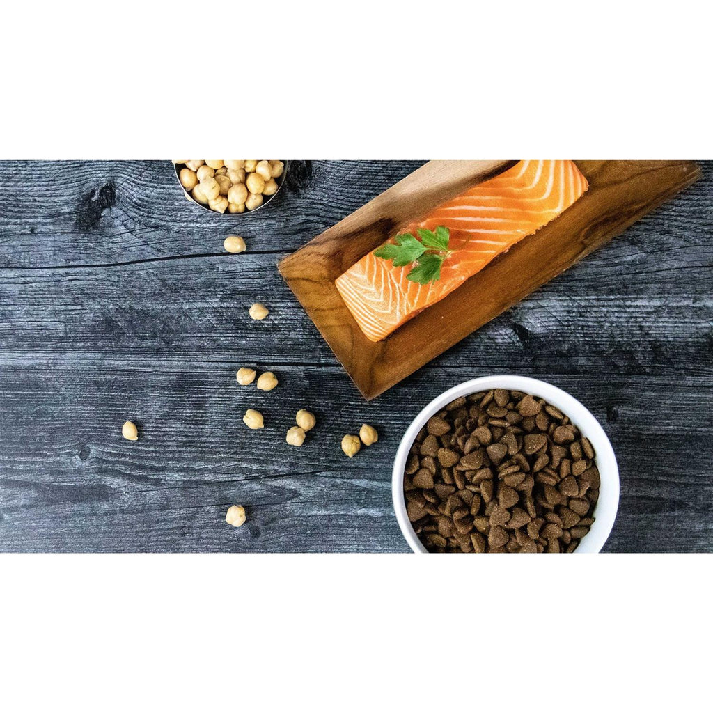 Grain-Free Salmon Recipe Dry Dog Food for Puppy & Adult I93684