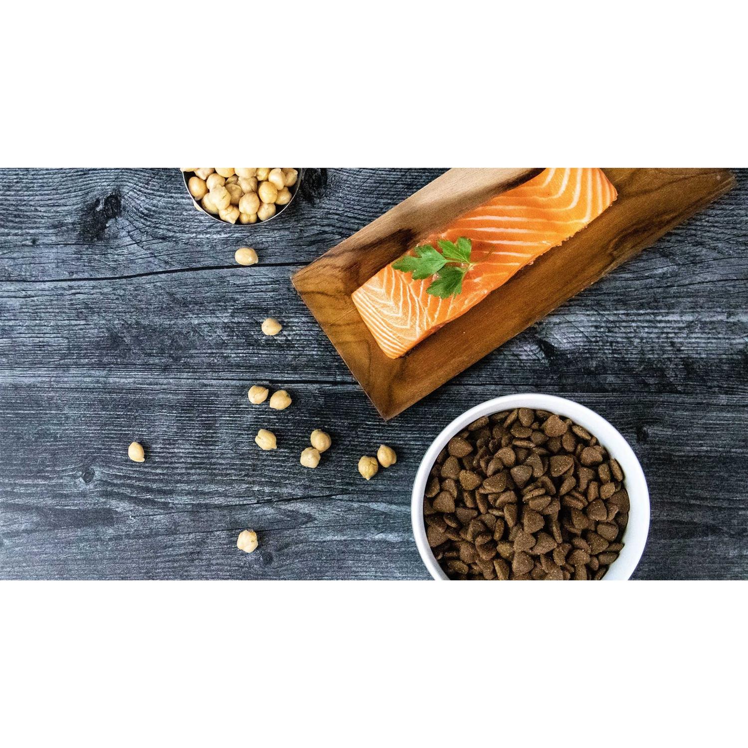 Grain-Free Salmon Recipe Dry Dog Food for Puppy & Adult I93684