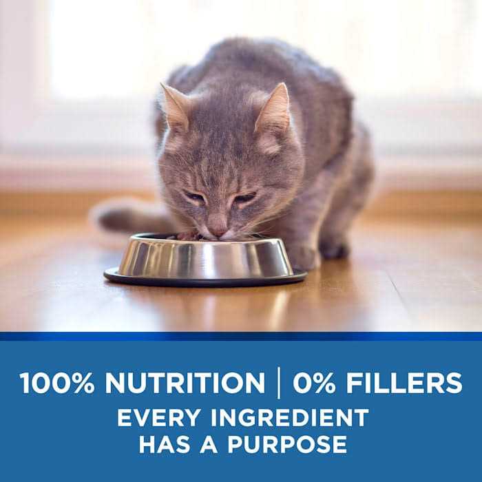 Chicken & Ocean Wet Cat Food for Mature Cats B7258