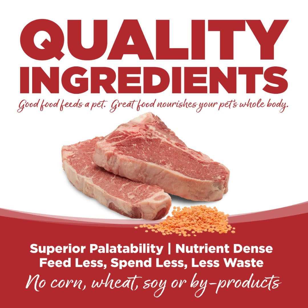 Grain Free Dry Dog Food with Beef and Red Lentils M4472