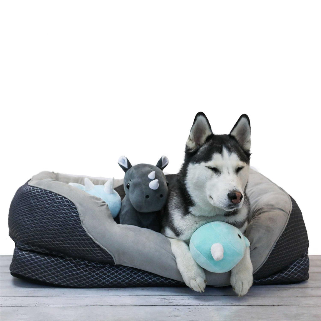 Orthopedic Dog Bed Y5065