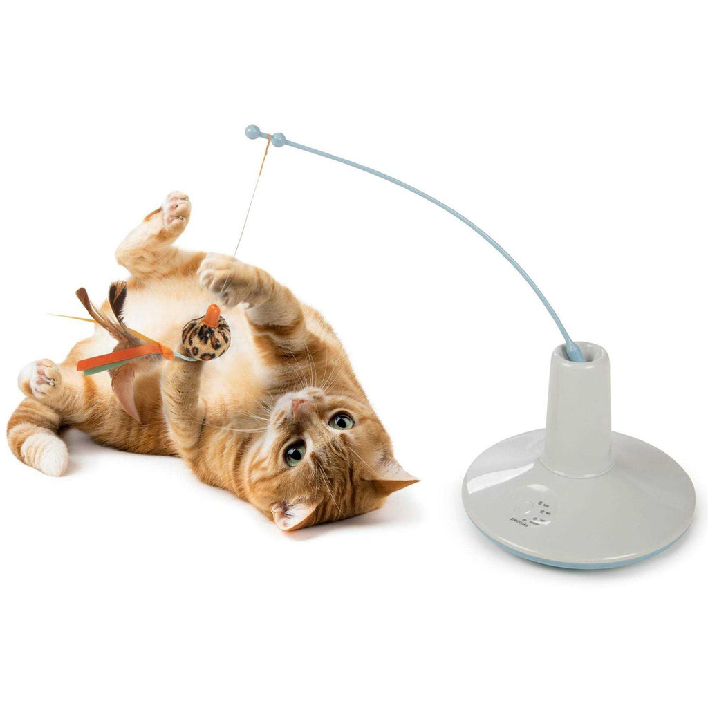 Cat Wand Toy S622575