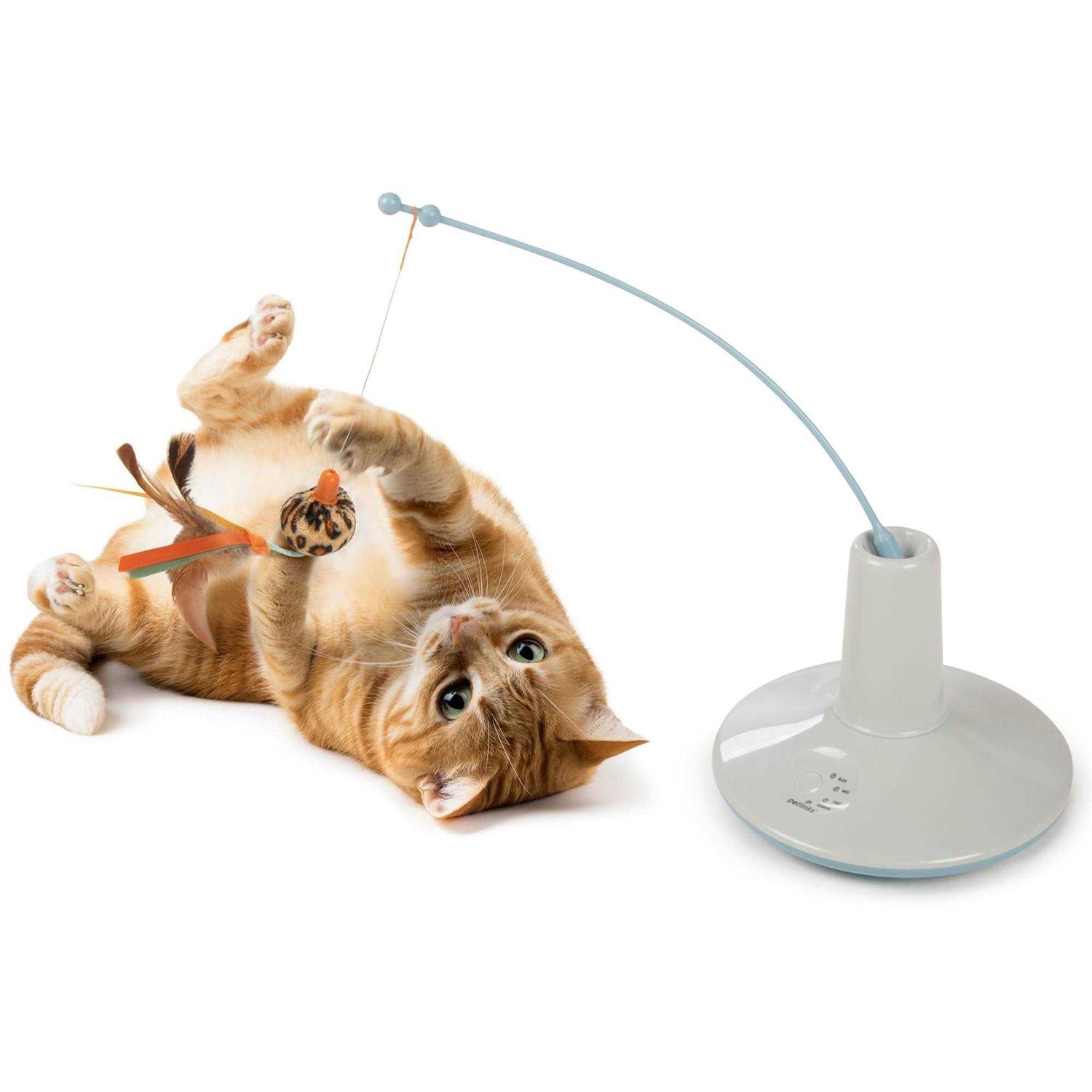 Cat Wand Toy S622575