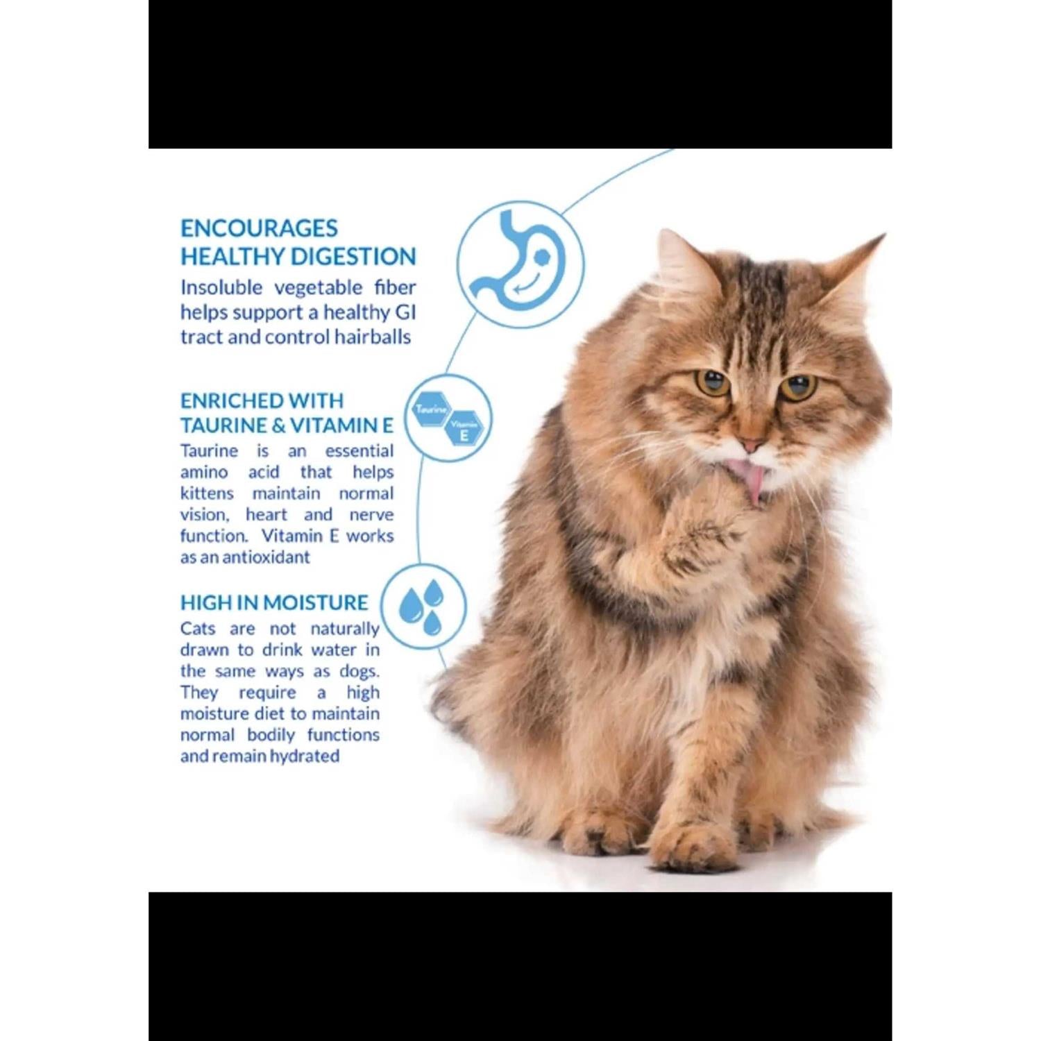 Churu Hairball Control Cat Treat Chicken T540832