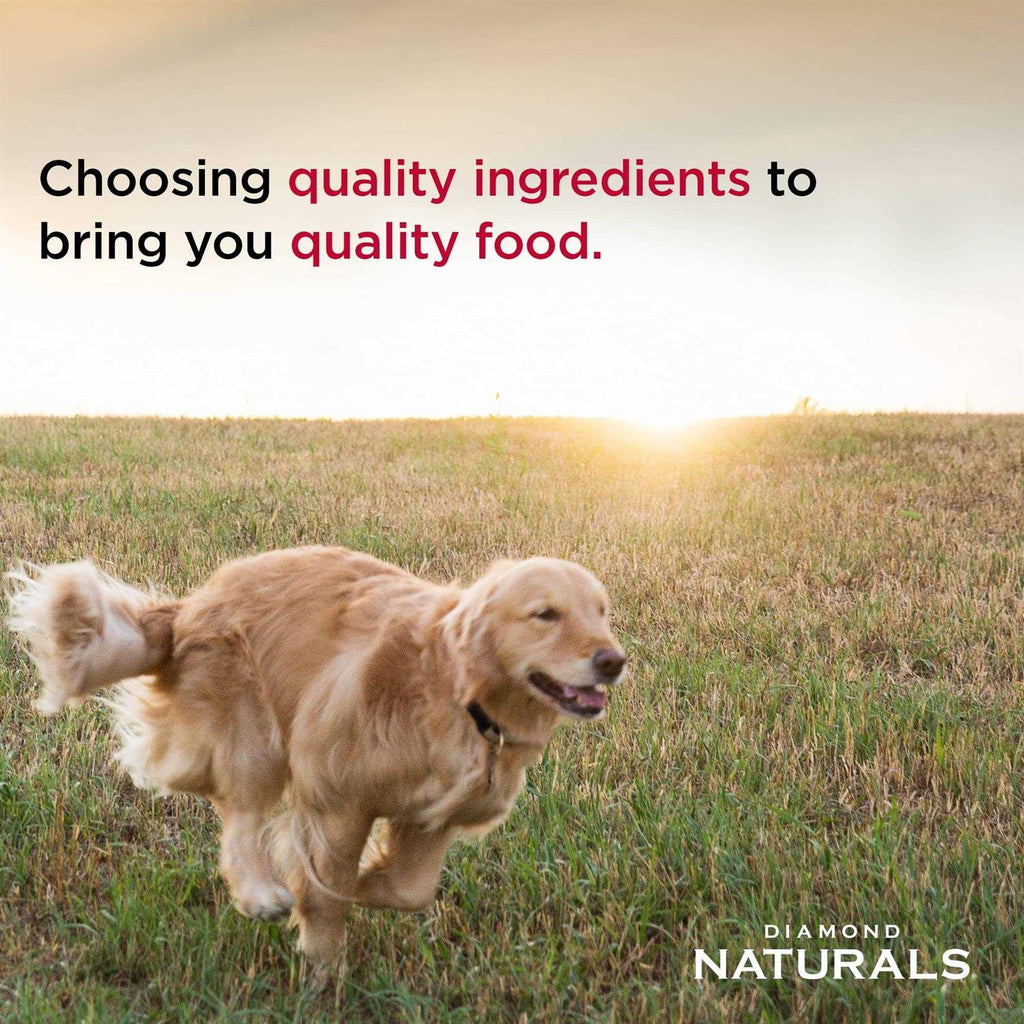 Small-Breed Adult Chicken Rice Dry Dog Food J31927