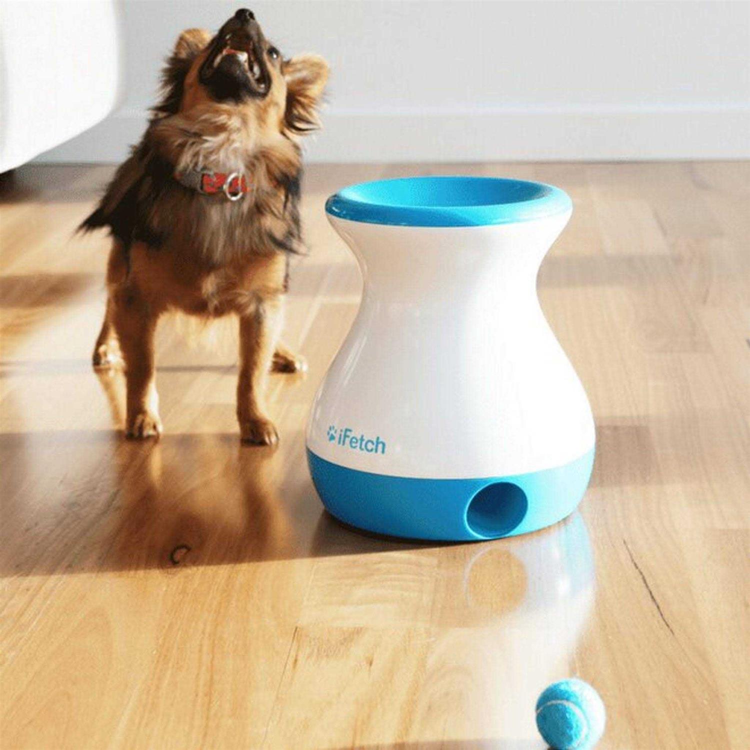 Frenzy Dog Toy S38218